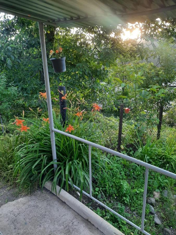 Family Hotel Dilijan Ngoại thất bức ảnh