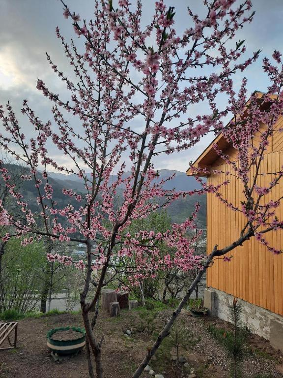 Family Hotel Dilijan Ngoại thất bức ảnh