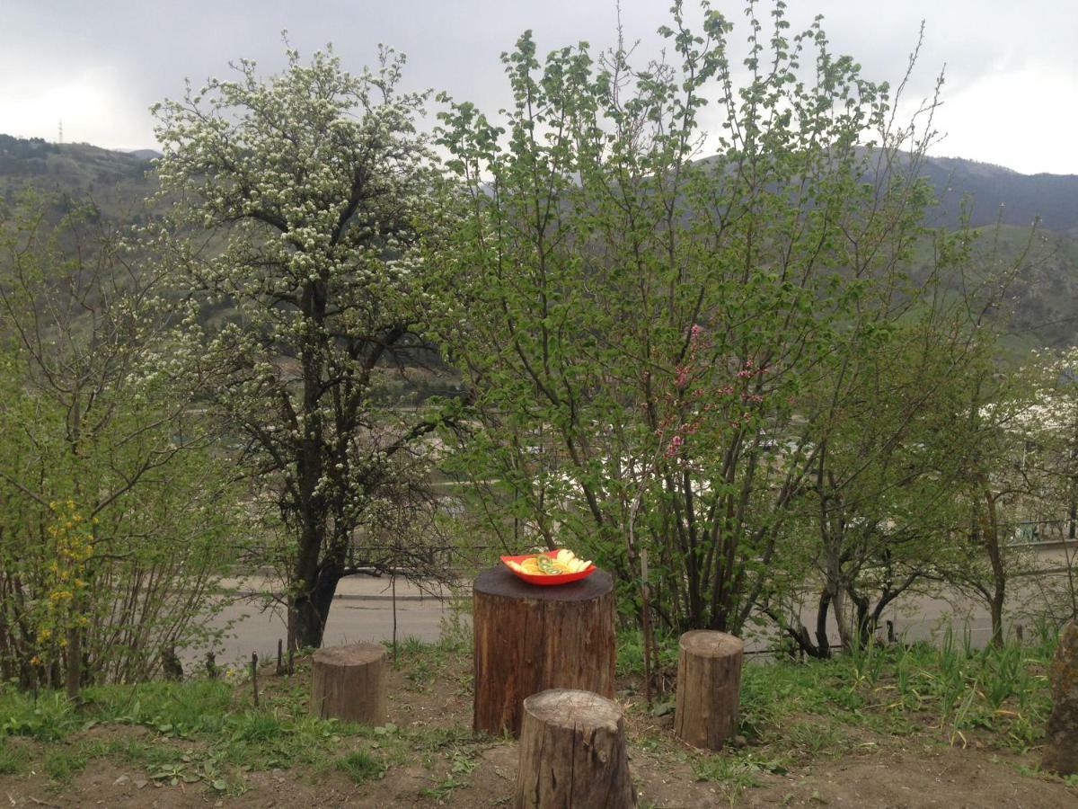 Family Hotel Dilijan Ngoại thất bức ảnh